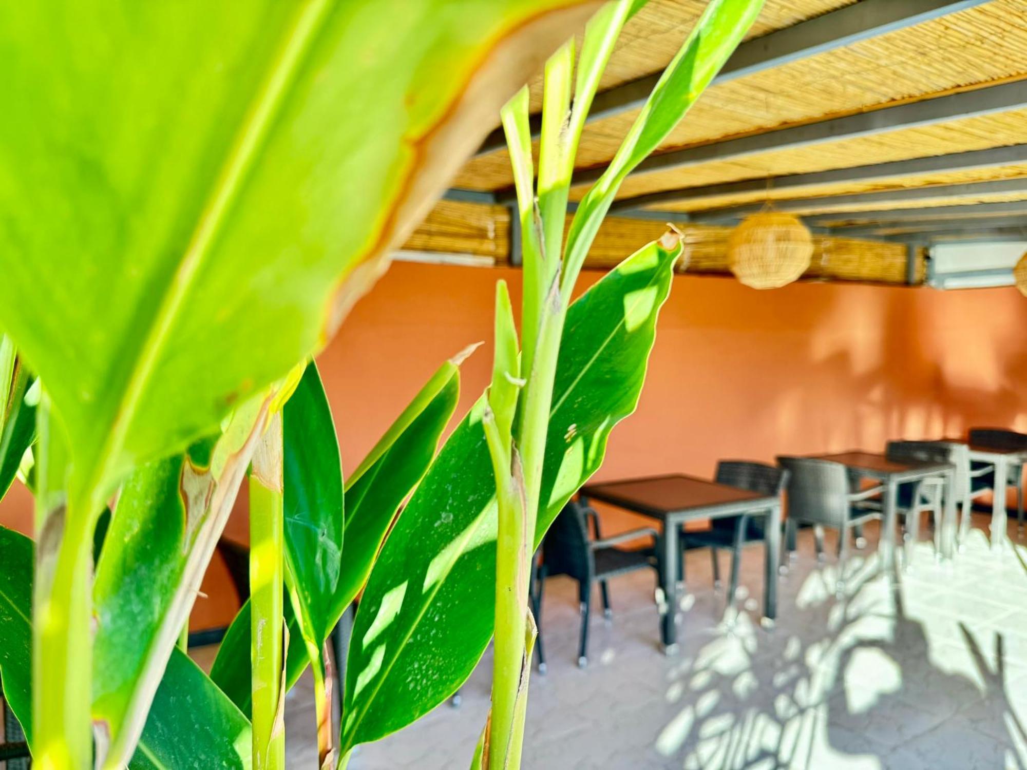 Riad Arrahma Marrakesh Ngoại thất bức ảnh