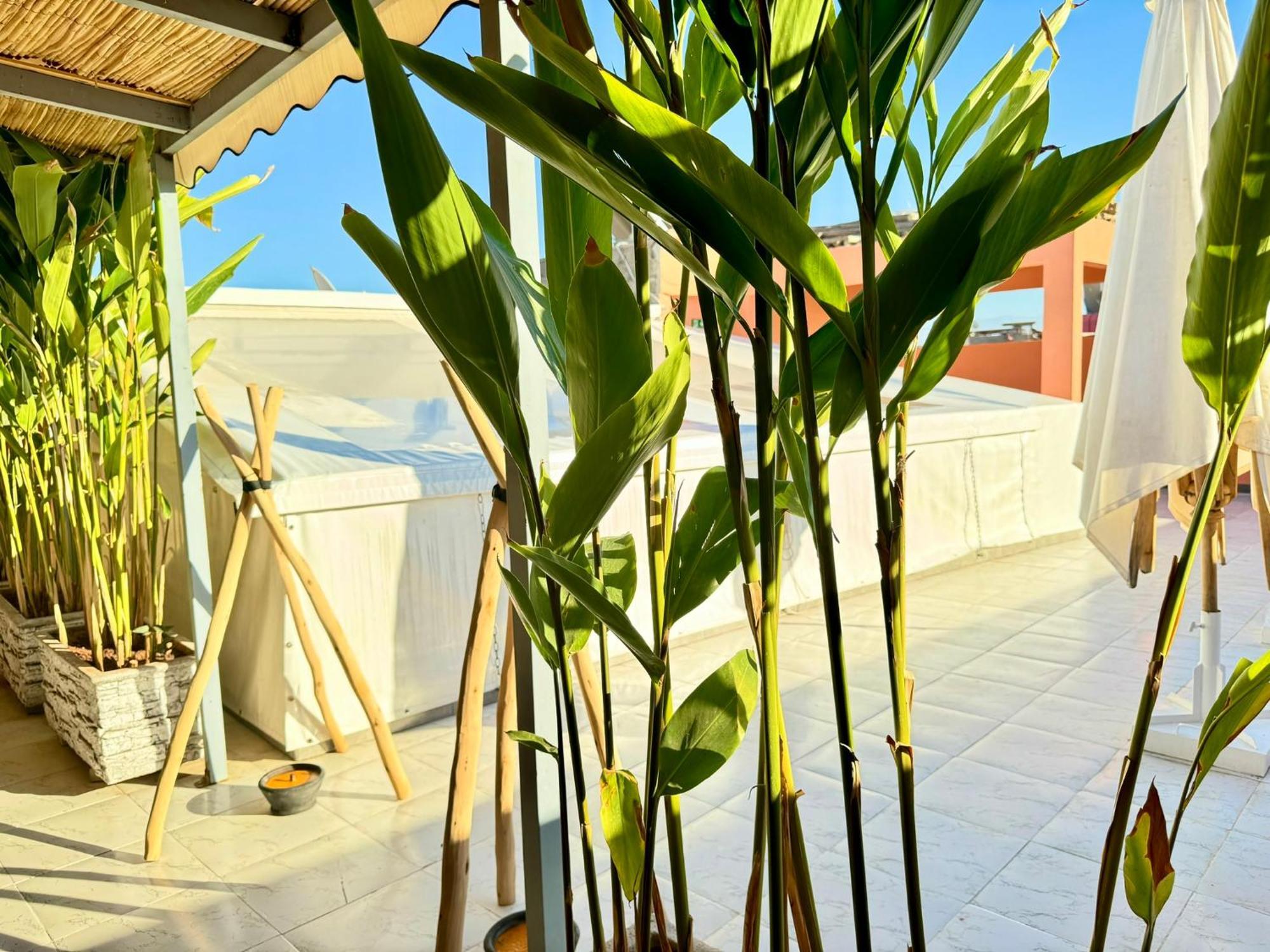 Riad Arrahma Marrakesh Ngoại thất bức ảnh